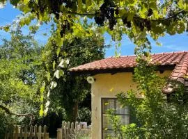 Casa de Vilar de Rei, a tranquilidade do mundo rural