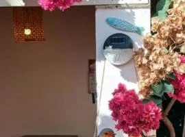 Casa Rustica - Courtyard House