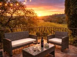 Healdsburg Vineyard Retreat