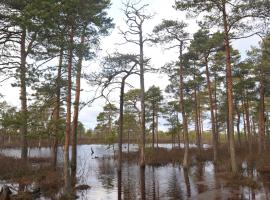 Suurejõe Holiday Center, tempat menginap di Suurejõe