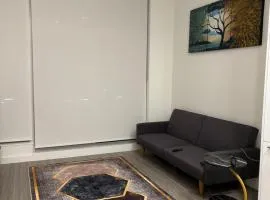 I bed 1bath Sky-Suite Apartment