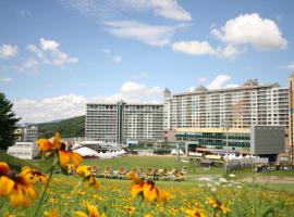 Wellihilli Park Resort, Hotel in Hoengseong