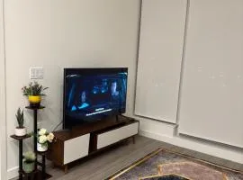 I bed 1bath Sky-Suite Apartment