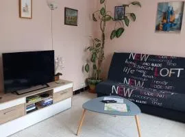 Appartement Le Vigan