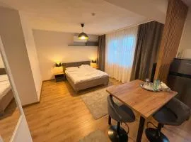 Mario Studio Craiova