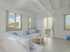 Eidolion Essence -Cycladic Villa with Private Plunge Pool for 10 Guests