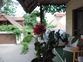 Saxon house&garden - half villa