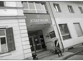 Frühstückspension Josefinum, hotel in Bad Aussee