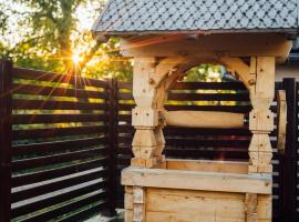 Agropensiunea Casa Daiana Breb, готель у місті Breb