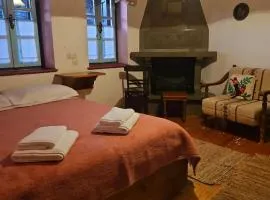 Βωλίτης Πάπιγκο