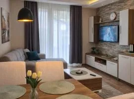 Kraljevi Cardaci- Alpine Wood Apartment