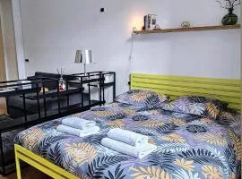 Urban Botero Suite, a due passi dal Museo Egizio e Stazione Porta Susa