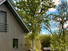 Brīvdienu māja & pirts meža vidū - Saraiķu Sanderi