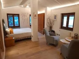 Lake Panorama House with Big Terrace