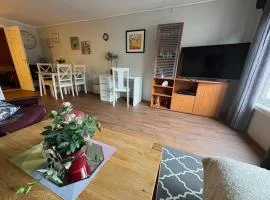 Cozy apartment near city center and nature
