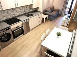 Apartamento centro de Puigcerda