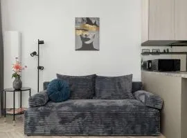 Funkcjonalny Apartament w Katowicach z Dostępem do Siłowni, Sauny i Parkingiem by Noclegi Renters