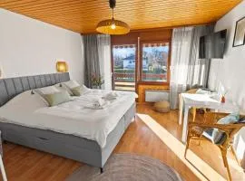 Studio cosy, proche du lac, avec un grand balcon