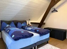 Apartment in Düdingen