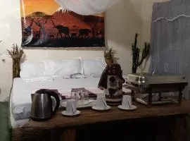 Game changers lodge Safari