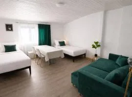 Bright and Spacious Apartment in Wiesbaden City Center