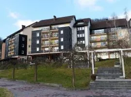 Terme Olimia - Aparthotel Rosa - apartma 217