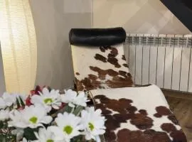 Casa del Concejo Segovia Aire acondicionado y jardín