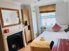 Lovely room near Vauxhall station