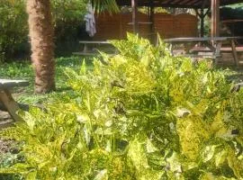 Logis Hôtel La Cascade - Lyon Nord