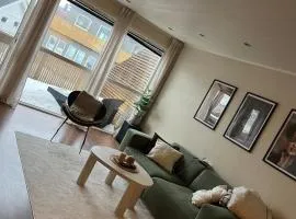 Convenient and Spacious apartment on the first floor