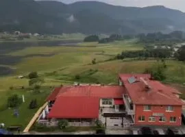 Complex Forest Sarnitsa