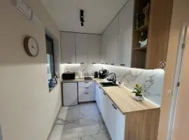 Przystanek na Rajskiej