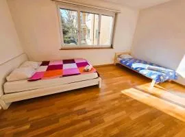 Large Flats, Zurich City Center - SCH