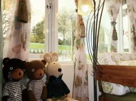Bear Homestay