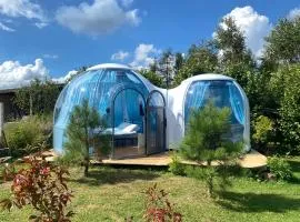 Lepiej trafić nie mogliście