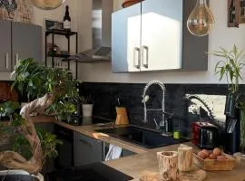 Duplex climatisé avec parking et borne électrique