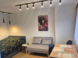 Apartament Serbinowska, Hotel in Kalisz