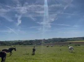 Oak Wood Ranch Guest Apartment
