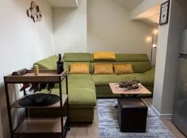 Chamkoria Forest apartment