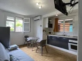 Les 2 cocotiers studios