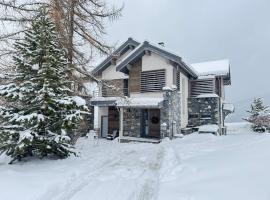 Chalet La Roche Prestige - Ski In & Out & Sauna Privé, Hotel in La Plagne Tarentaise