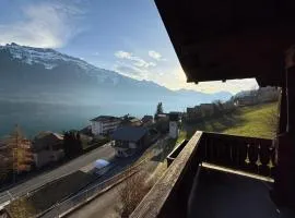 Alpine Apartment - direct Lake & Mountain View