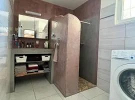 Maison de village à deux pas du lac du Der