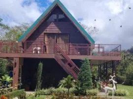 Bajos del Toro Paradise House