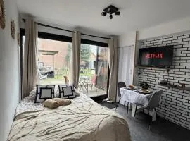 Le Mauroy - 800 m Stadium - Terrace - Parking - Wifi - Netflix