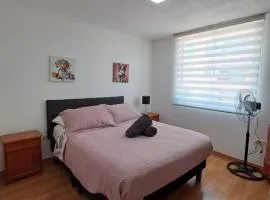 Moderno Depto 1D con Estacionamiento Gratis Ideal Trabajo