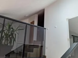 Jelka 2