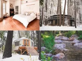Wildland Treehaus Creekside Forest Retreat w Hot Tub & Wellness Yurt Pets OK