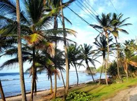 Beachy Cottage I Kitchen I Wi-Fi I Shaded Cabana I Parking