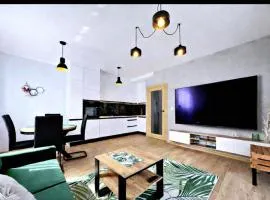 Premium Apartament Piłsudskiego Września